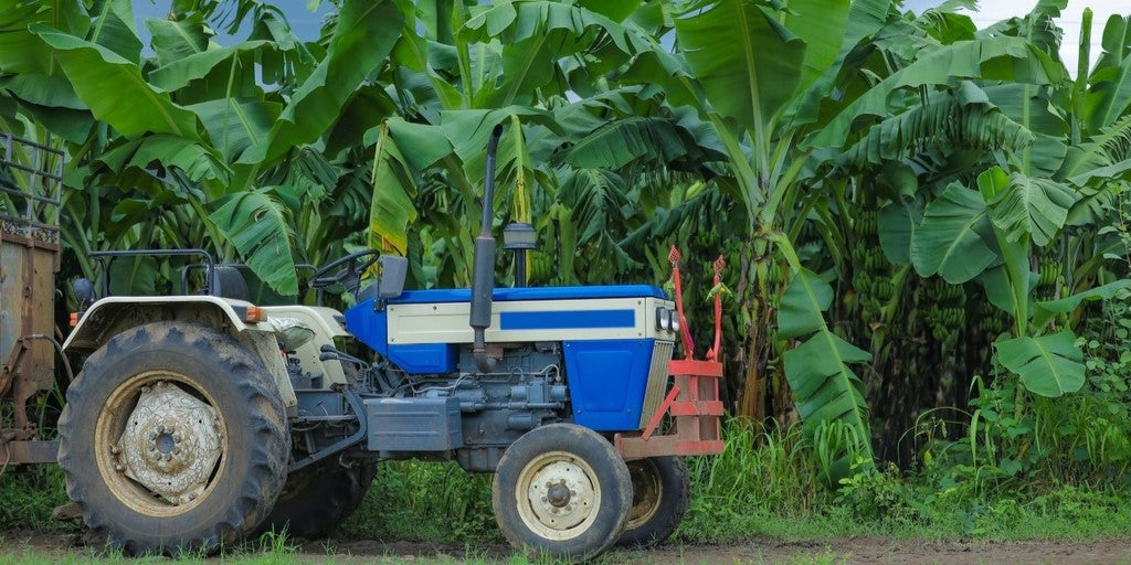 100% Natural & Healthy